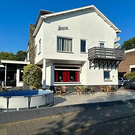 Mimosa Hotel 3*