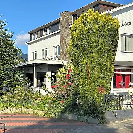 Hotel Mimosa 3*